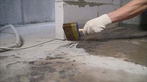 24/7 Emergency Crawl Space Encapsulation experts in Boston, NY